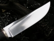 Нож Клык-3 (х12мф, стаб. карельская береза, мельхиор)