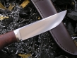 Нож Соболь 1-1 (х12мф, стаб карельская береза, мельхиор)