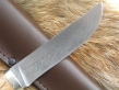 Нож Клык 2 (Дамаск, карельская береза, мельхиор)