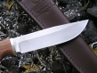 Нож Косуля 1 (м390, комель сливы, дюраль)