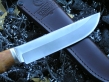 Нож РН-12 (М390, стаб.карельская береза, мельхиор)