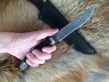 Нож - Орел (дамасская сталь, граб) 